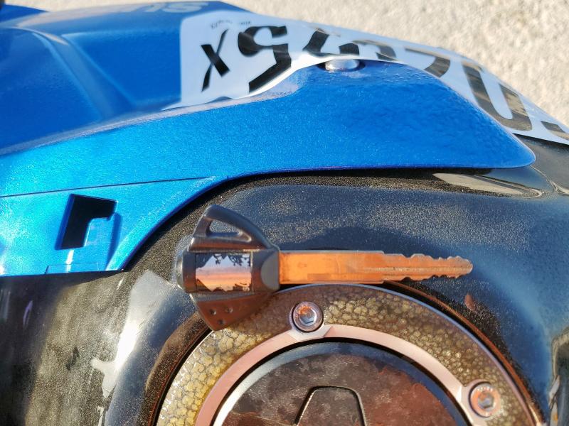 SUZUKI GSX800 F 2024