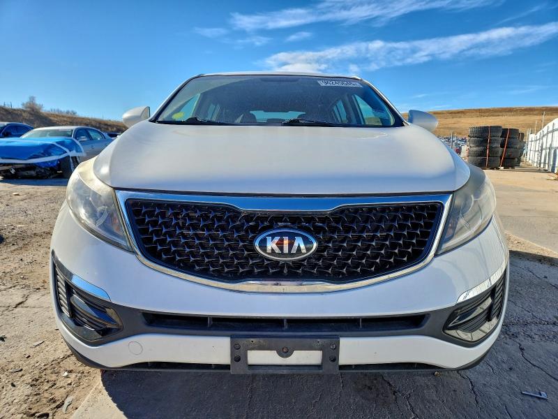 Фото 5 - KIA SPORTAGE