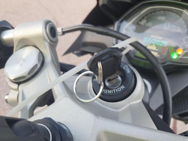 TRIUMPH DAYTONA 66 2025