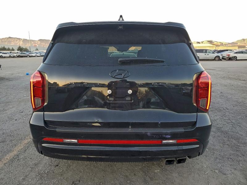 HYUNDAI PALISADE 2024 VIN KM8R7DGE6RU806602