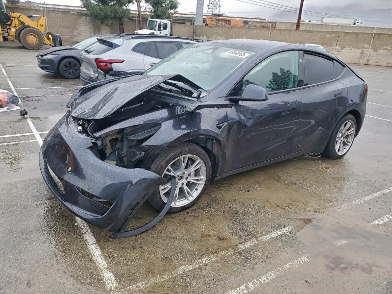Фото 1 - TESLA MODEL Y