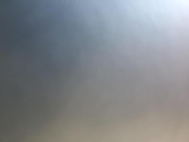 HONDA FSC CYCLE 2008