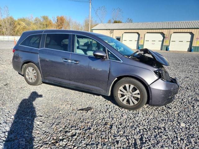 Фото 4 - HONDA All Models