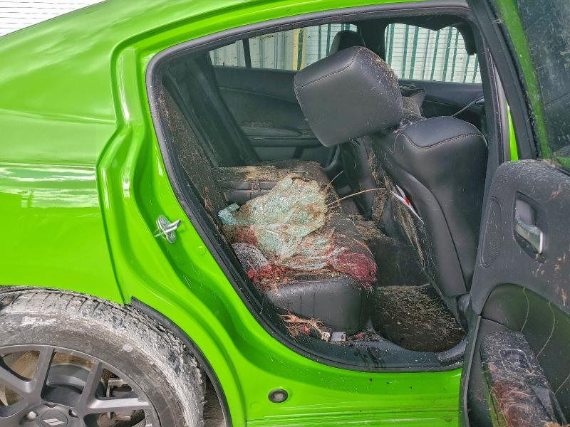 Фото 10 - DODGE CHARGER