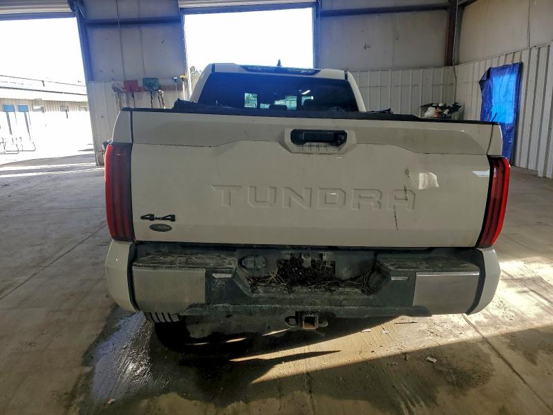 TOYOTA TUNDRA 2023 VIN 5TFLA5DA1PX126685