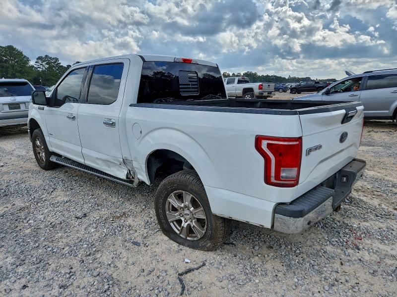 FORD F-150 2016 VIN 1FTEW1CP6GFB19181
