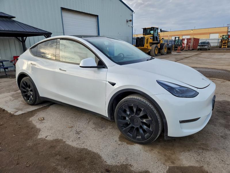 Фото 4 - TESLA MODEL Y