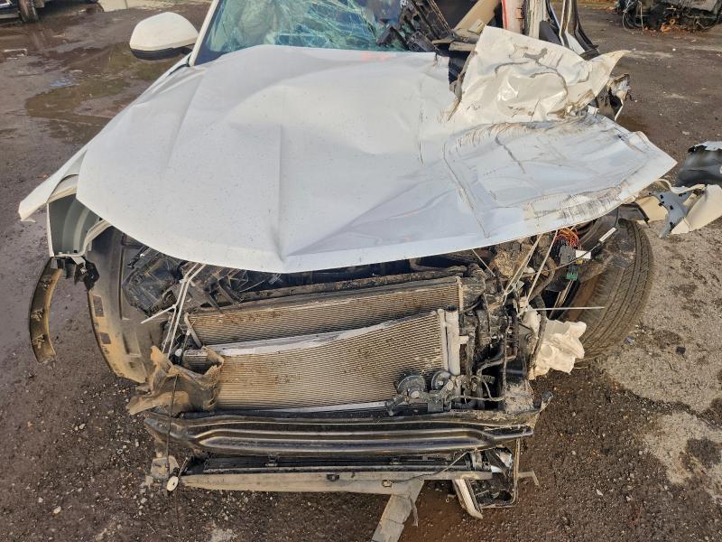 Фото 12 - VOLKSWAGEN ATLAS