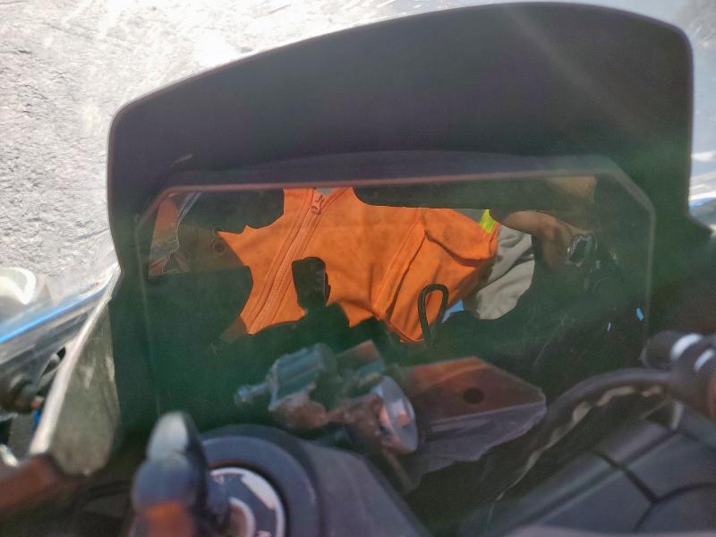 SUZUKI GSX800 F 2024