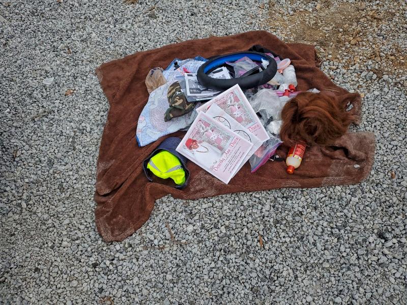 Фото 12 - DODGE CHARGER