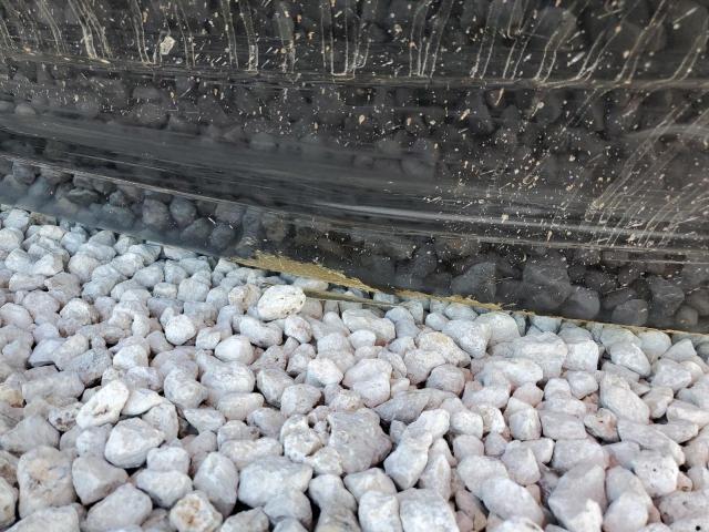 KAWASAKI JETSKI 2019