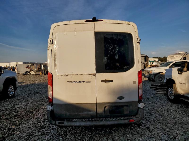 Фото 6 - FORD TRANSIT