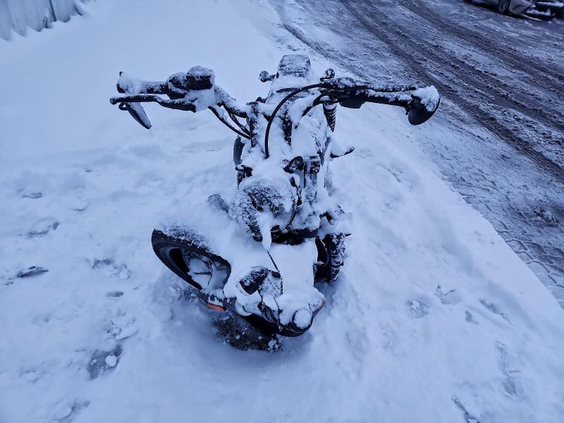 HARLEY-DAVIDSON RH975 S 2023