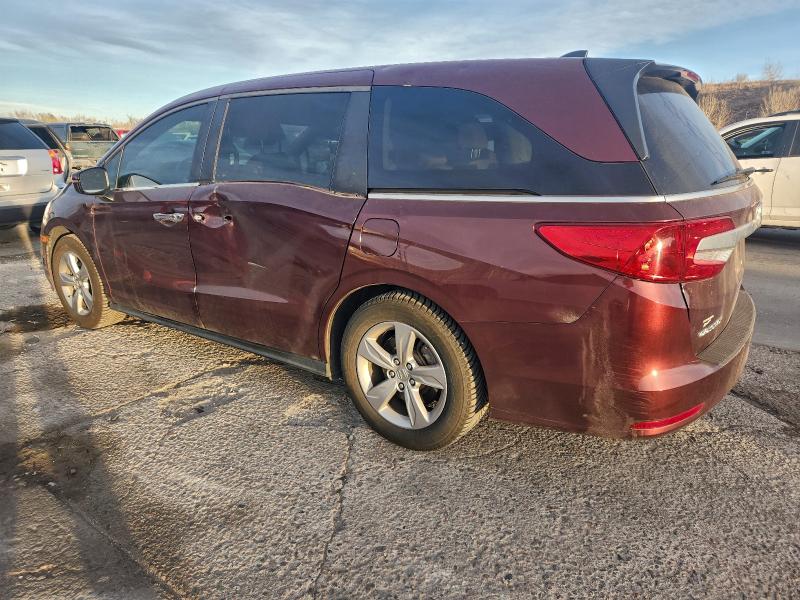 Фото 2 - HONDA All Models