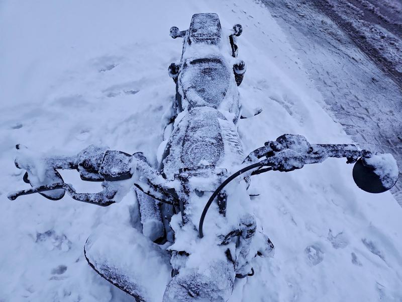 HARLEY-DAVIDSON RH975 S 2023