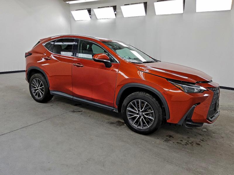 LEXUS NX 250 2023 VIN 2T2GDCAZ1PC003051