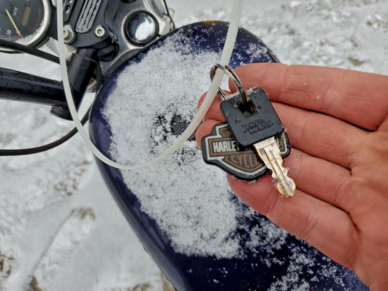 Фото 8 - HARLEY-DAVIDSON SPRTSTR120