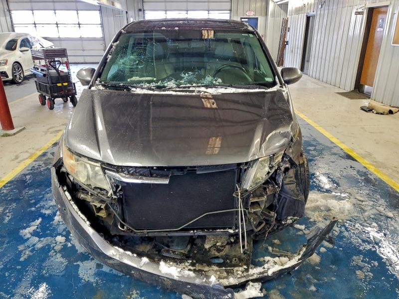 Фото 5 - HONDA All Models