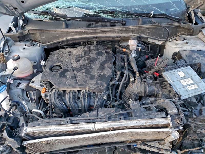 KIA SPORTAGE X 2024 VIN 5XYK6CDF6RG144389