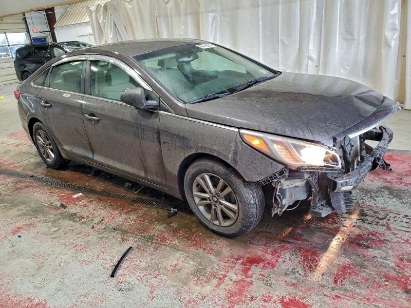 HYUNDAI SONATA 2016 VIN 5NPE24AF0GH323004