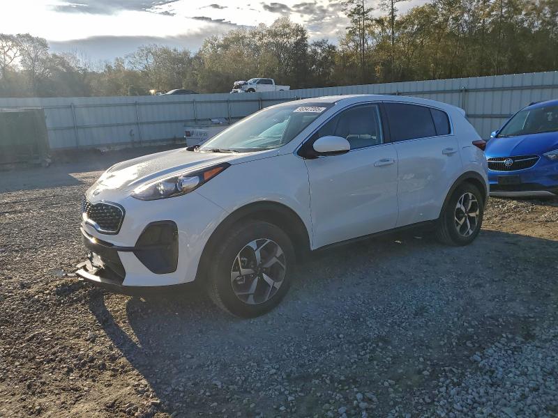 KIA SPORTAGE 2020 VIN KNDPM3ACXL7775401