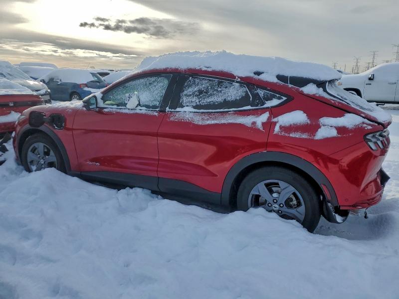 Фото 2 - FORD MUSTANG