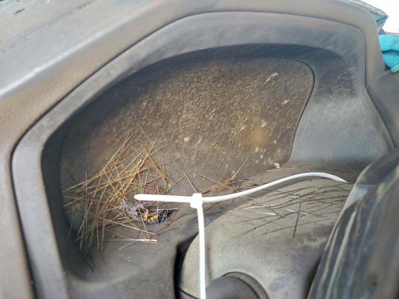 Фото 9 - HONDA RIDGELINE