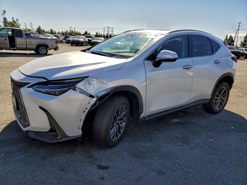 LEXUS NX 350H BA 2024 VIN JTJGKCEZ7R5018185