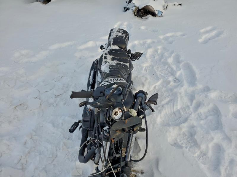 HARLEY-DAVIDSON XL883 N 2021