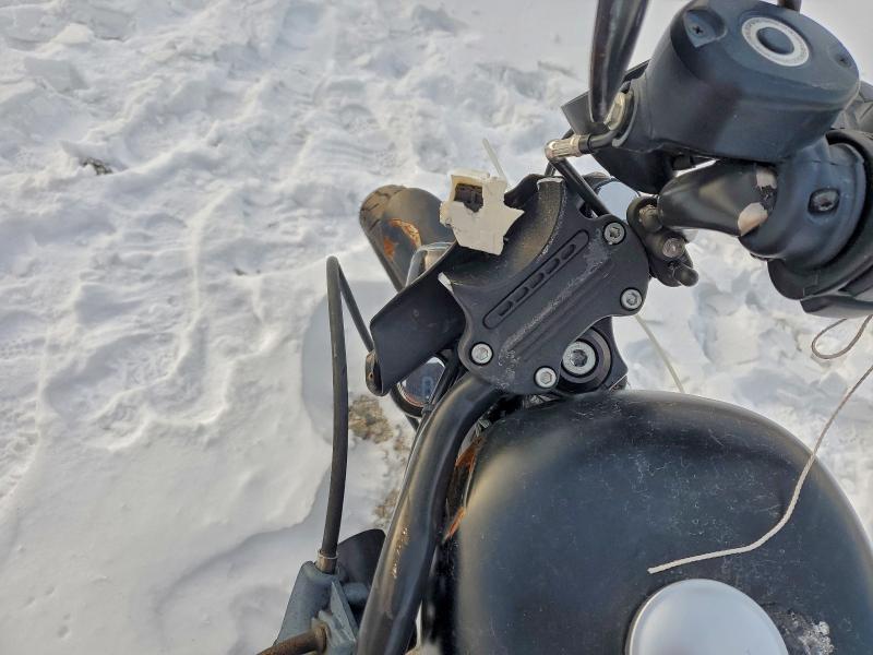 HARLEY-DAVIDSON XL883 N 2021