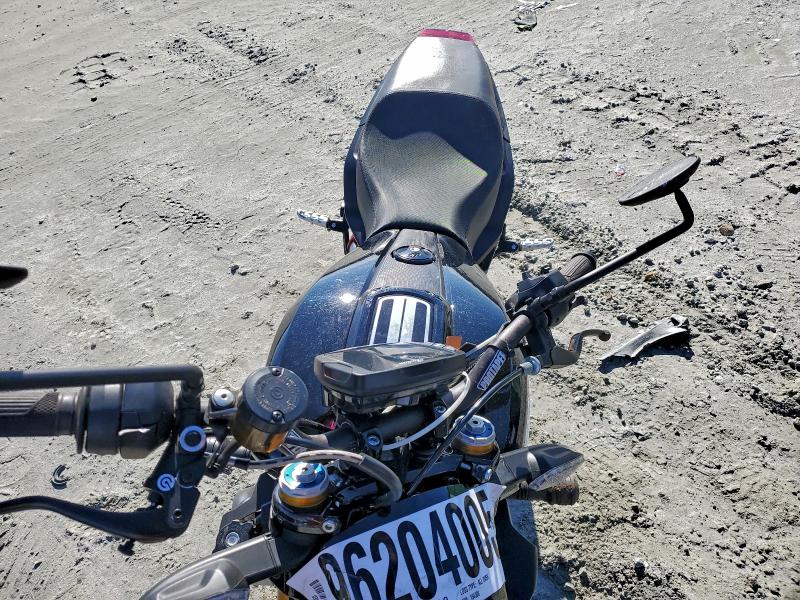 INDIAN FTR 1200 S 2019