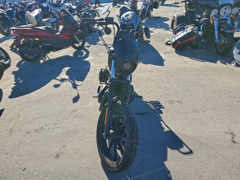 HARLEY-DAVIDSON XL1200 NS 2021