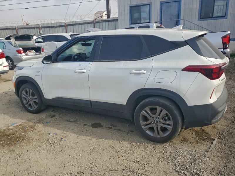 Фото 2 - KIA SELTOS