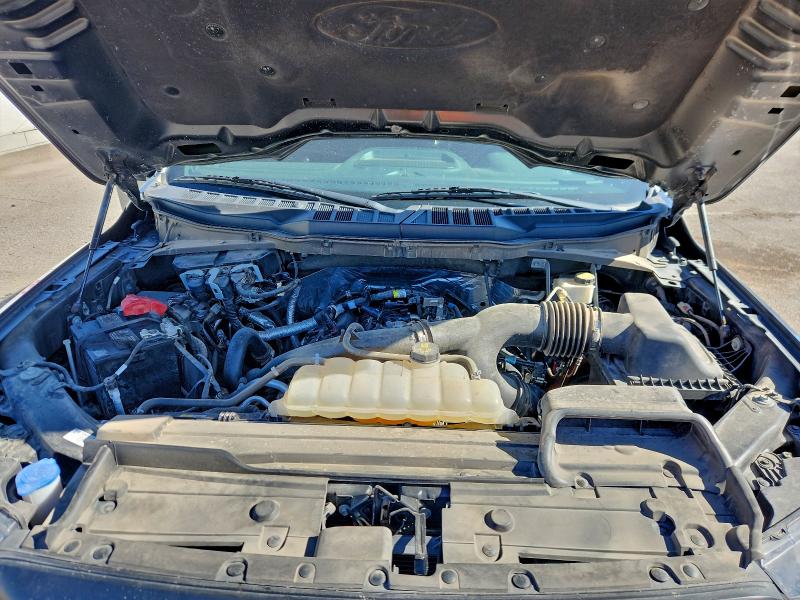 Фото 11 - FORD F-150