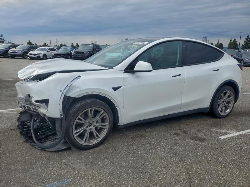 Фото 1 - TESLA MODEL Y