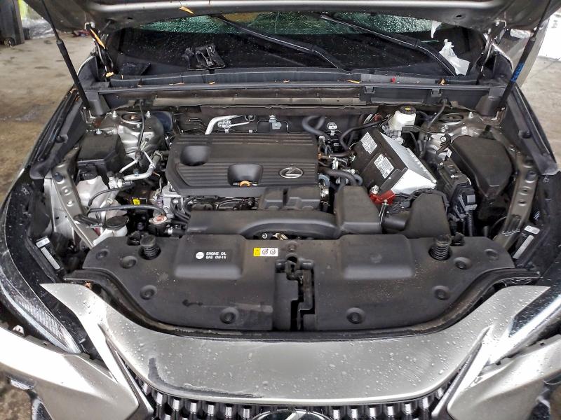 LEXUS NX 250 BAS 2024 VIN 2T2ADCAZ7RC008375