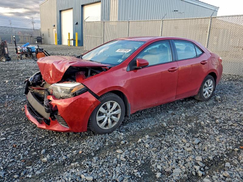 Фото 1 - TOYOTA COROLLA