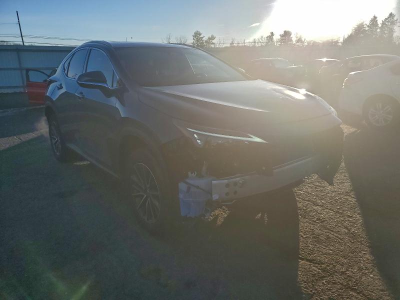 LEXUS NX 350 BAS 2025 VIN 2T2AGCEZ4SC081601