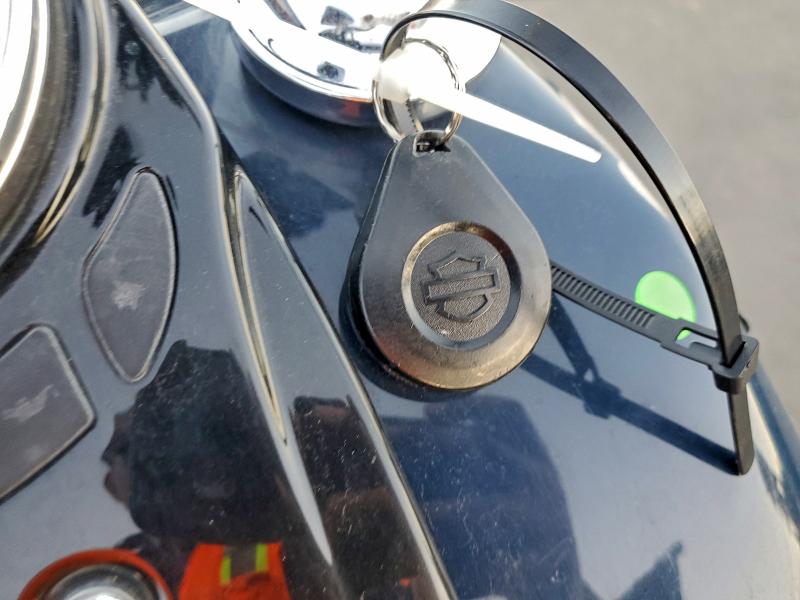 HARLEY-DAVIDSON FLSL 2019