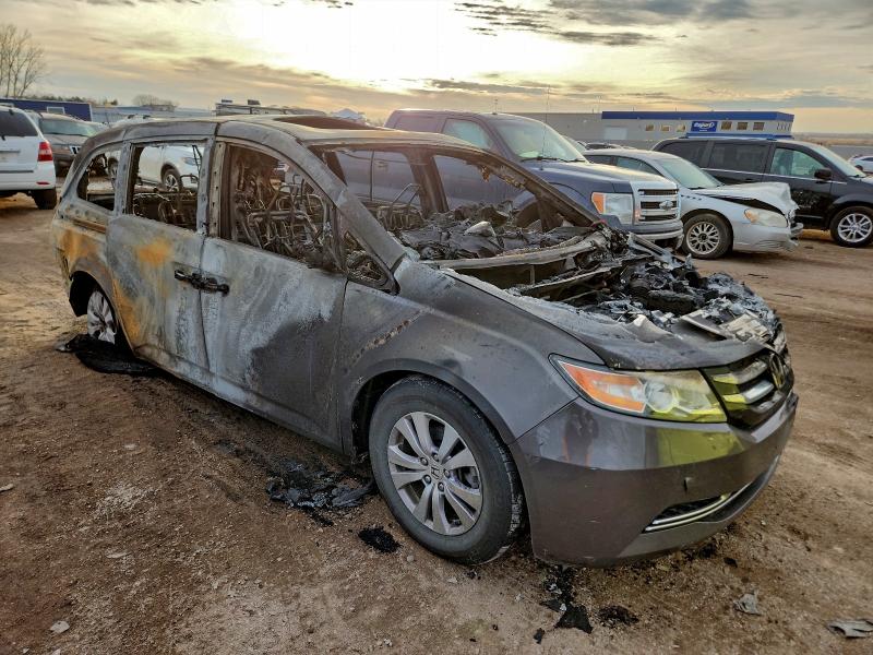 Фото 4 - HONDA All Models