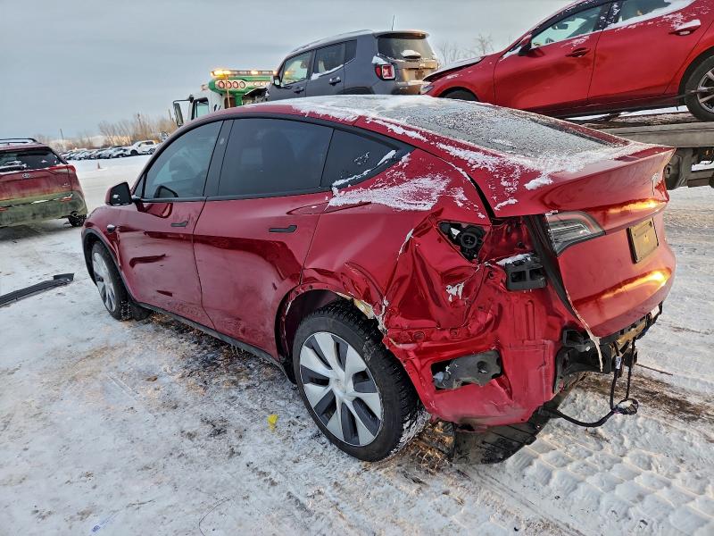 Фото 2 - TESLA MODEL Y
