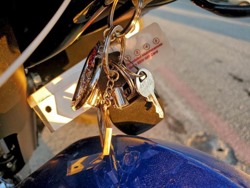 HARLEY-DAVIDSON FL 2024