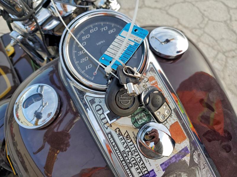 HARLEY-DAVIDSON FL 2022