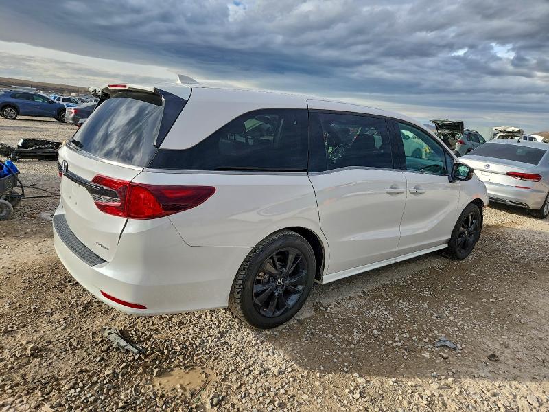 HONDA ODYSSEY SP 2024 VIN 5FNRL6H70RB031010