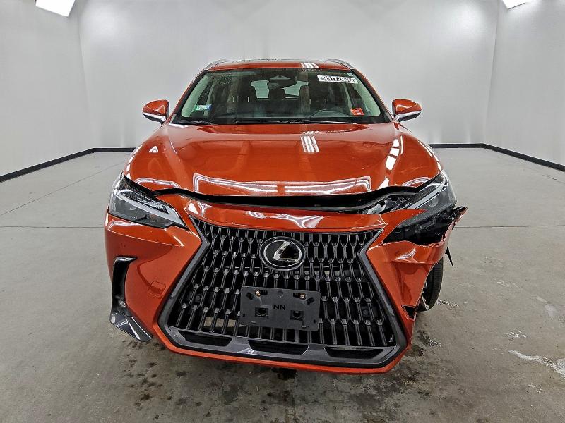 LEXUS NX 250 2023 VIN 2T2GDCAZ1PC003051