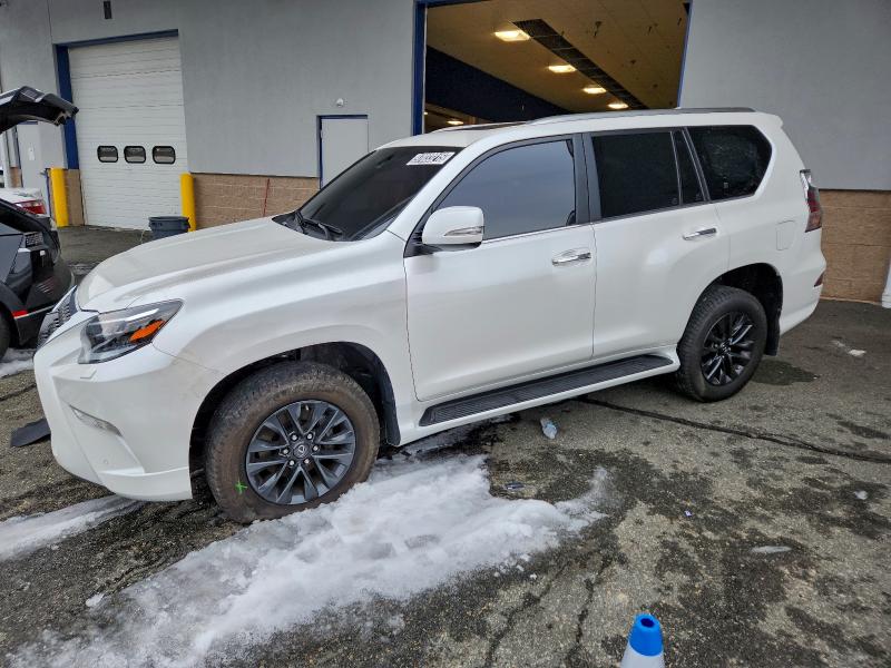 Фото 1 - LEXUS GX