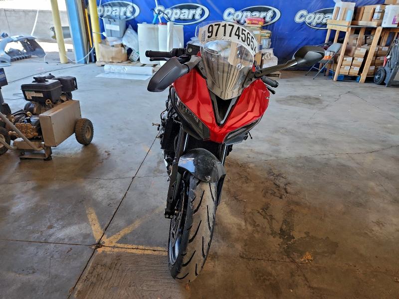 TRIUMPH DAYTONA 66 2025