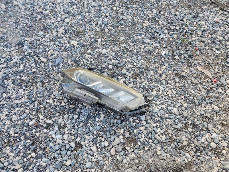 Фото 12 - NISSAN MAXIMA