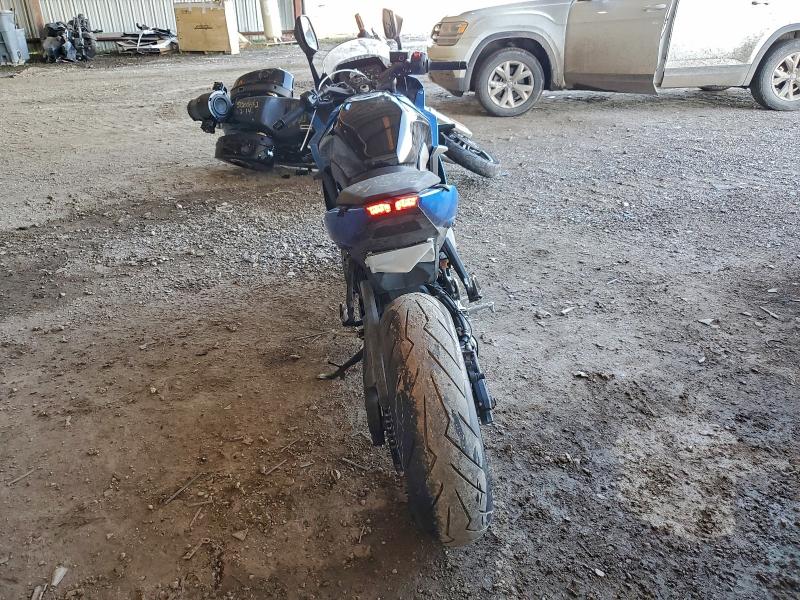 SUZUKI GSX800 F 2024