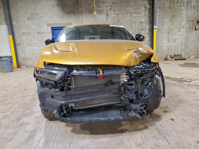 DODGE HORNET GT 2024 VIN ZACNDFAN3R3A34391